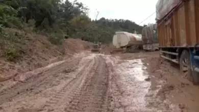 Update Terbaru Korban Banjir Sumatera: 914 Tewas dan 389 Masih Hilang