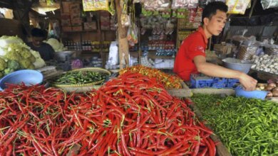 Update Terbaru: Lonjakan Harga Cabai dan Daftar Komoditas Penting Lainnya yang Perlu Diketahui