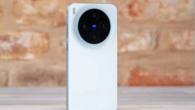 Viivo Kolaborasi dengan National Geographic Creative Works untuk Proyek Fotografi Alam Terbaru