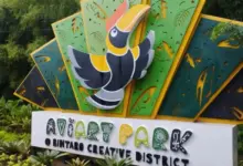 Wahana Menarik dan Info Tiket Masuk Aviary Park Bintaro untuk Liburan Seru Keluarga