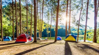 Wajib Dicoba: 9 Tempat Glamping Hits di Dieng Wonosobo untuk Liburan Seru dan Nyaman
