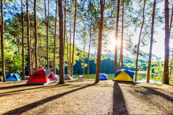 Wajib Dicoba: 9 Tempat Glamping Hits di Dieng Wonosobo untuk Liburan Seru dan Nyaman