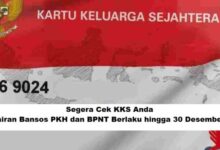Wajib Tahu! Cara Cek KKS untuk Klaim Bansos PKH dan BPNT sampai Akhir 2025