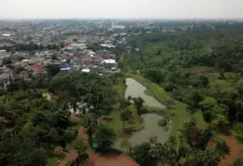 Wisata Petik Jeruk di Dau Malang: Eksplorasi Seru Liburan Alam dan Buah Segar