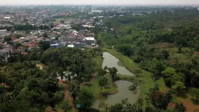 Wisata Petik Jeruk di Dau Malang: Eksplorasi Seru Liburan Alam dan Buah Segar