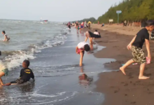 Wisata Wana Griya: Destinasi Pantai Buatan Alternatif di Parung Bogor yang Menarik Dikunjungi