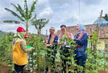 Yayasan AHM Kembangkan Desa Sejahtera Astra Honda di Ciamis untuk Tingkatkan Kesejahteraan Warga