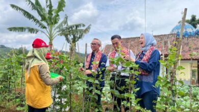 Yayasan AHM Kembangkan Desa Sejahtera Astra Honda di Ciamis untuk Tingkatkan Kesejahteraan Warga