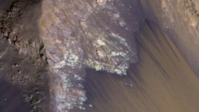 Zona Khusus di Mars Terbatas: Lindungi Potensi Kehidupan dengan Larangan Sentuh Area Ini