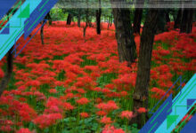 10 Bunga Beracun Paling Cantik di Dunia yang Wajib Kamu Ketahui