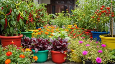 15 Inspirasi Model Teras Rumah Sempit Tanpa Pagar yang Bisa Jadi Kebun Mini Cantik