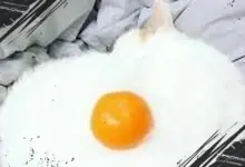 3 Pilihan Gambar Pertama yang Kamu Lihat Ini Ungkap Sisi Unik Karakteristikmu!