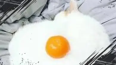 3 Pilihan Gambar Pertama yang Kamu Lihat Ini Ungkap Sisi Unik Karakteristikmu!