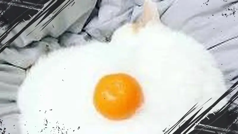 3 Pilihan Gambar Pertama yang Kamu Lihat Ini Ungkap Sisi Unik Karakteristikmu!