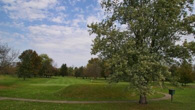 4 Situs Kuno yang Konon “Berbicara” saat Wolf Moon: Mitos atau Fakta Astronomi?