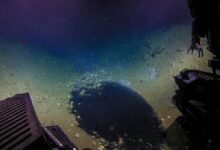 5 Fakta Unik Brine Pool: Kolam Air Asin Mematikan dan Misterius di Dasar Laut