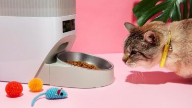 5 Gadget Canggih untuk Hewan Peliharaan, Mudah Pantau & Rawat Anabul di Rumah