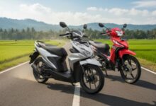 5 Motor Honda Bekas Rp5 Jutaan Paling Irit & Tangguh, Rekomendasi Terbaik untuk Harian