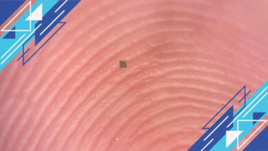 5 Robot Mini yang Bisa Berenang, Mendeteksi, dan Melaporkan Suhu dengan Akurat