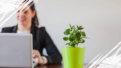 5 Tanaman Hias Dalam Ruangan Kantor yang Mudah Dirawat dan Bikin Nyaman Kerja