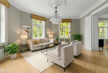 8 Tanaman Hias Terbaik untuk Sudut Ruang Tamu, Bikin Interior Makin Cantik!