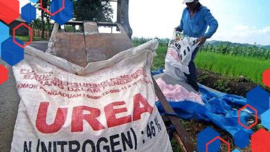 Alokasi Pupuk Bersubsidi untuk Sektor Pertanian Klaten Capai 42 Ribu Ton Lebih