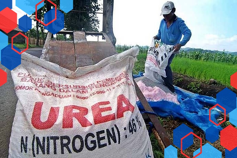 Alokasi Pupuk Bersubsidi untuk Sektor Pertanian Klaten Capai 42 Ribu Ton Lebih
