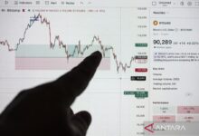 Analis Ungkap Peluang dan Risiko Bitcoin di 2026: Apa yang Perlu Investor Ketahui?