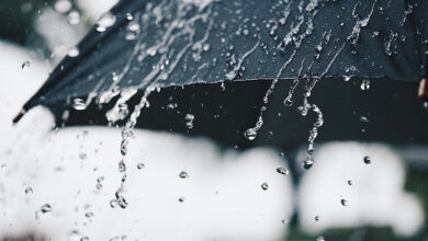 BMKG Rilis Peringatan Dini Cuaca Ekstrem: Hujan Lebat dan Angin Kencang Segera Melanda