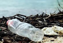 Botol Plastik Daur Ulang Kini Bisa Jadi Sumber Energi untuk Mengisi Daya Perangkat Elektronik