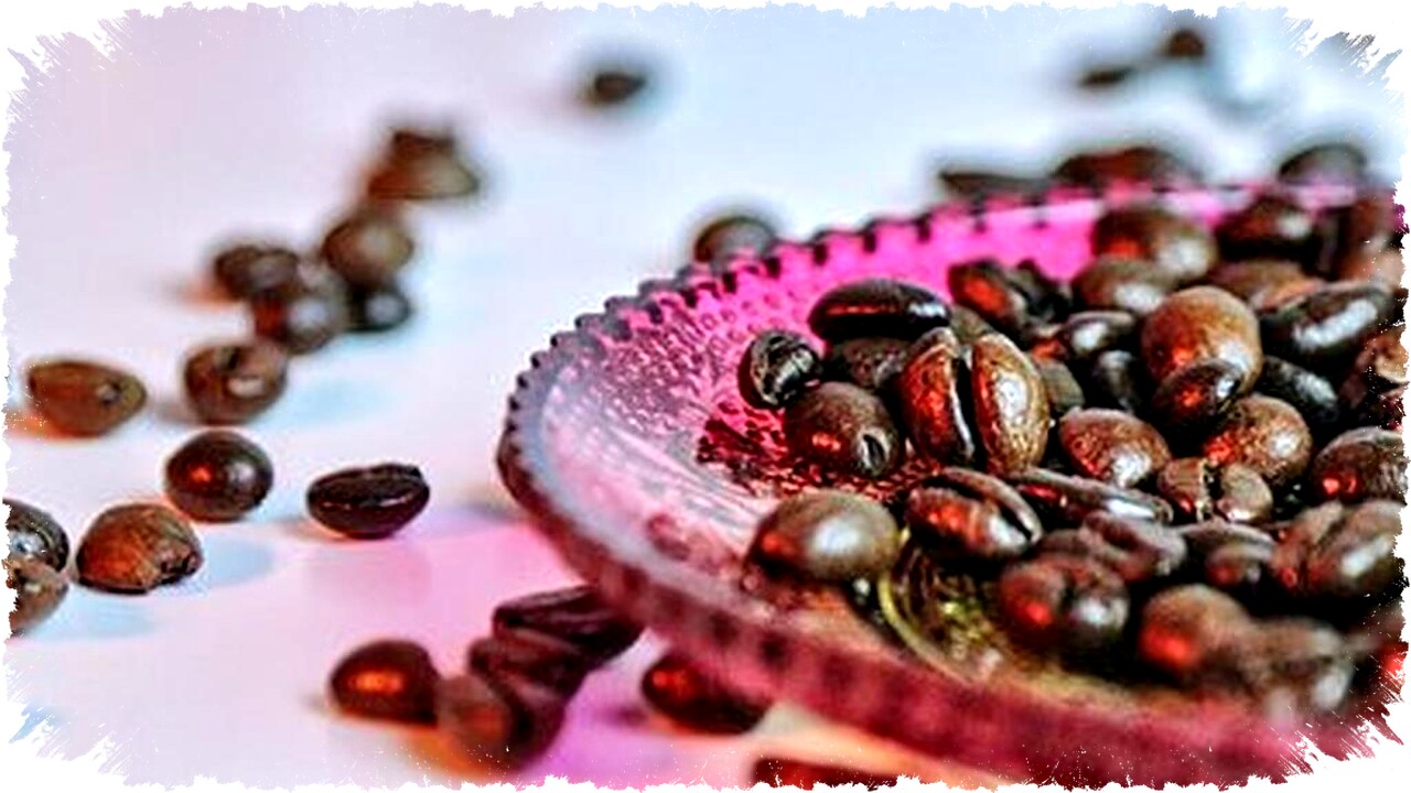 Cara Berbisnis Kopi di Jogja: Pentingnya Miliki Banyak Circle untuk Sukses Usaha Roastery