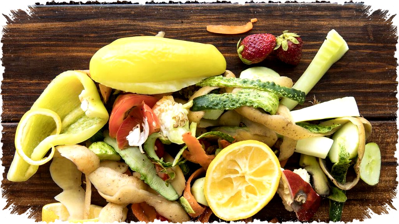 Cara Membuat Pakan Ikan dari Limbah Sayuran: Hemat Biaya dan Ramah Lingkungan, Praktis!