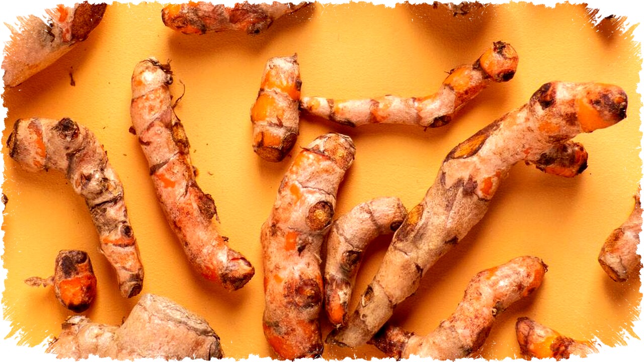 Cara Menyimpan Akar Kunyit Agar Awet & Anti Busuk: Tips Simpan di Kulkas dan Suhu Ruang