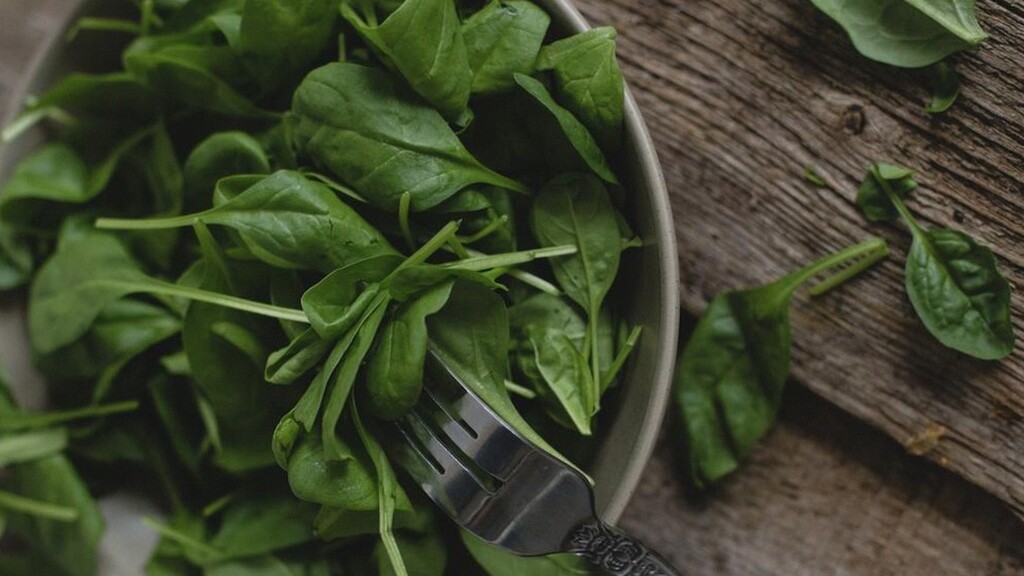 Cara Merawat Sayur Daun agar Tidak Cepat Layu Setelah Dipanen: 7 Tips Praktis dan Efektif Cara Merawat Sayur Daun agar Tidak Cepat Layu Setelah Dipanen: 7 Tips Praktis dan Efektif