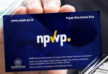 Cara Mudah Daftar NPWP Online untuk Profesional dan Pelaku Usaha Terbaru