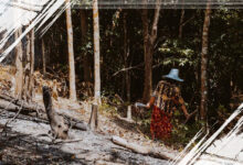 Dampak Deforestasi Terhadap Siklus Air dan Cara Mengatasinya secara Efektif