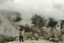 Eksplorasi Seru Kawah Ratu dan Keindahan Alam Taman Nasional Gunung Halimun Salak