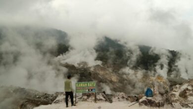 Eksplorasi Seru Kawah Ratu dan Keindahan Alam Taman Nasional Gunung Halimun Salak