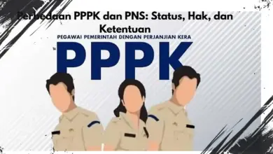 Fakta Penting Perbedaan PNS vs PPPK: Status Kerja, Hak, dan Syarat yang Berlaku