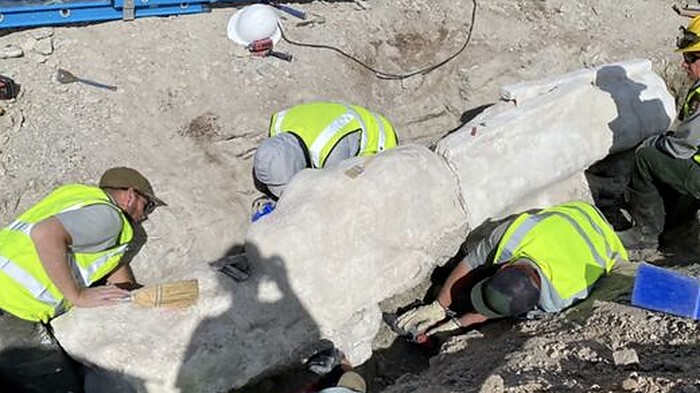 Geger! Fosil Tulang Dinosaurus Raksasa 1.361 Kg Ditemukan di Tempat Parkir Utah, Siap Diteliti Geger! Fosil Tulang Dinosaurus Raksasa 1.361 Kg Ditemukan di Tempat Parkir Utah, Siap Diteliti