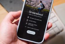 Google Segera Hidupkan Kembali Snapseed di Android, Fitur Edit Foto Makin Canggih