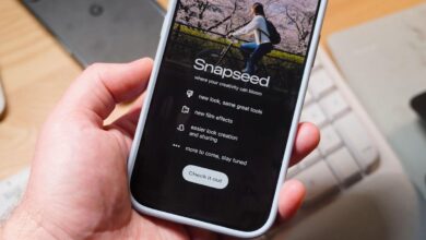 Google Segera Hidupkan Kembali Snapseed di Android, Fitur Edit Foto Makin Canggih