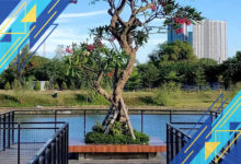 Graha Natura Park: Destinasi Hijau dan Tenang di Pusat Kota Surabaya