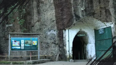 Gua Belanda Bandung: Fakta Sejarah, Mitos Menarik, dan Rekomendasi Aktivitas Seru