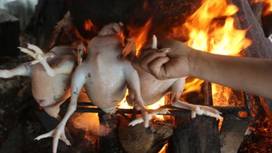 Harga Ayam Terkini per Wilayah: Daftar Lengkap Update Terbaru Hari Ini