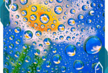 Intip Hasil Foto Kamera Honor Magic 8 RSR Sebelum Resmi Dirilis