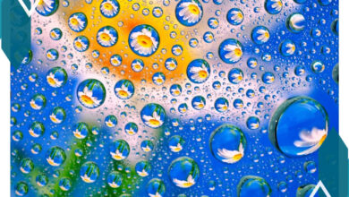 Intip Hasil Foto Kamera Honor Magic 8 RSR Sebelum Resmi Dirilis