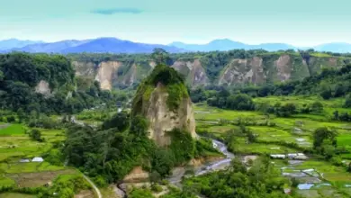 Keindahan Alam Ngarai Sianok di Bukittinggi yang Memukau dan Wajib Dikunjungi