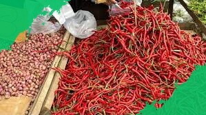 Kenaikan Harga Beras dan Cabai di Batam Picu Keluhan Beban Belanja Warga