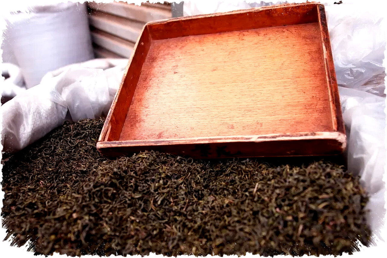 Lenovo ThinkPad L14 Gen 6 vs T14 Gen 6: Perbandingan Fitur, Performa & Harga Terbaru 2026